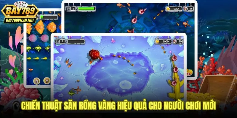 Chiến thuật bắn cá rồng Bay789 từ quan sát nhịp bàn đến dồn hỏa lực