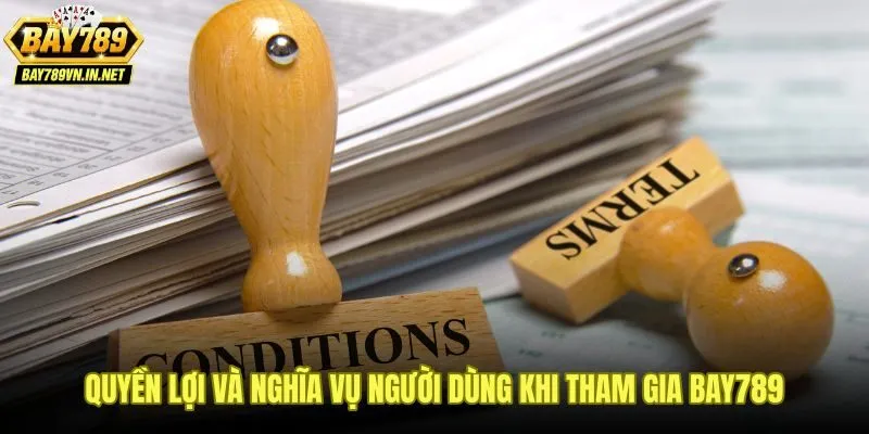 Điều khoản Bay789 phân định quyền lợi và trách nhiệm rõ ràng