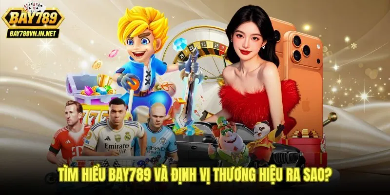 Giới thiệu Bay789 qua bảng định vị thương hiệu và nhóm người dùng mục tiêu