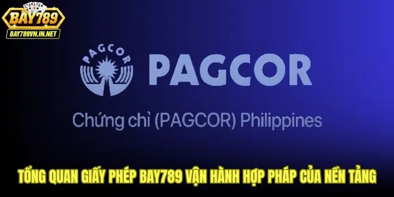 Giấy phép Bay789 cùng phạm vi quản lý và trách nhiệm pháp lý rõ ràng